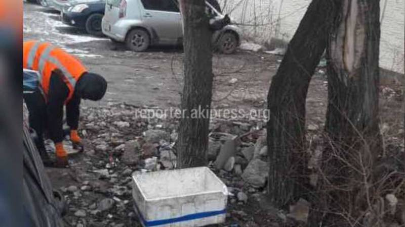 Сотрудники «Тазалыка» убрали мусор на улице Исакеева (фото)
