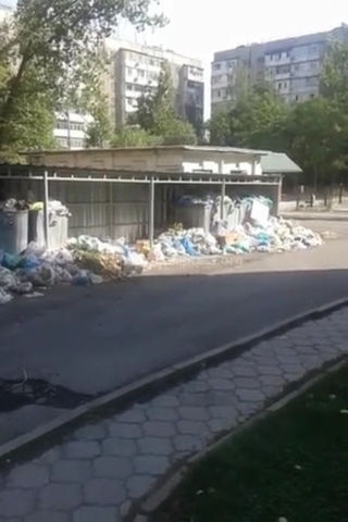 Бишкекчанин жалуется, что на участке ул.Шопокова вовремя не вывозится мусор (видео)