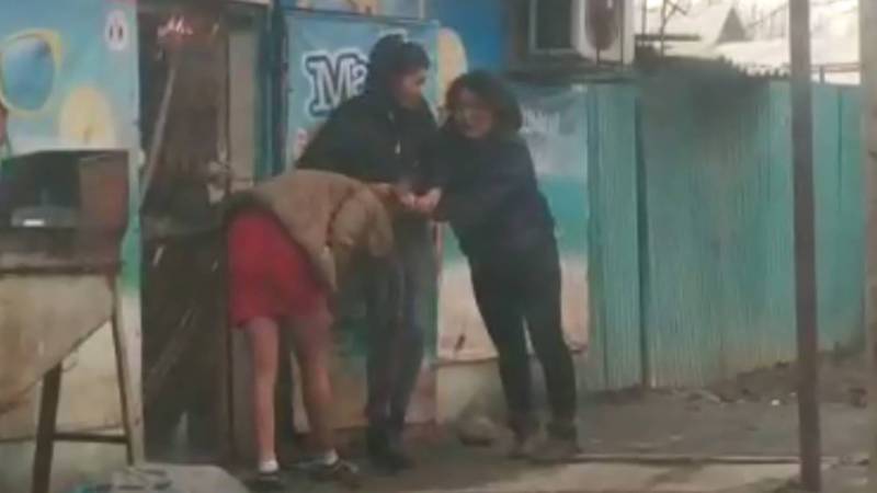 На улице Павлова возле ШГ№31 подрались пьяные женщины, - бишкекчанин (видео)
