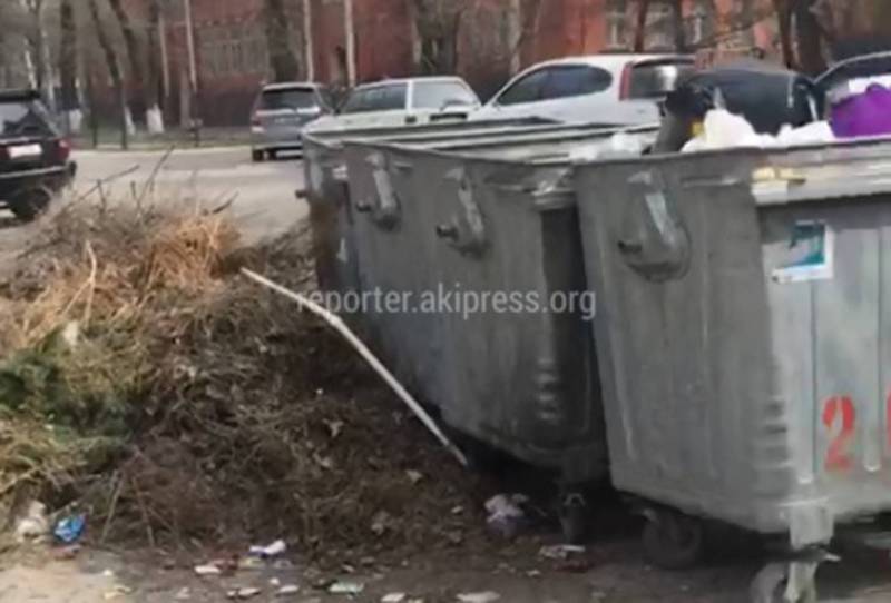 Жители Бишкека просят передвинуть мусорные баки на ул.Чуйкова (видео)