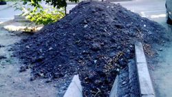 На ул.Калыка Акиева два месяца арычные лотки засыпаны грунтом для газона (фото)