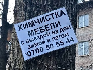 СЭИ Бишкека выпишет протокол нарушителю, прибившему рекламу гвоздем к дереву