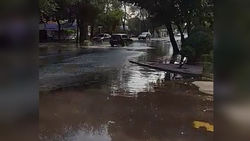 На Льва Толстого - Фатьянова арычная вода затопила тротуары и дороги (видео)