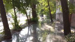 На Льва Толстого - Фатьянова каждый раз после дождей и полива, вода топит тротуар (фото)