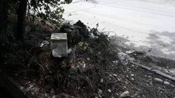 На улице Матросова №11 не вывезли мусор (фото)