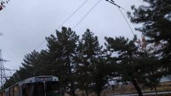 Фото — На проспекте Чуй оборвался троллейбусный кабель
