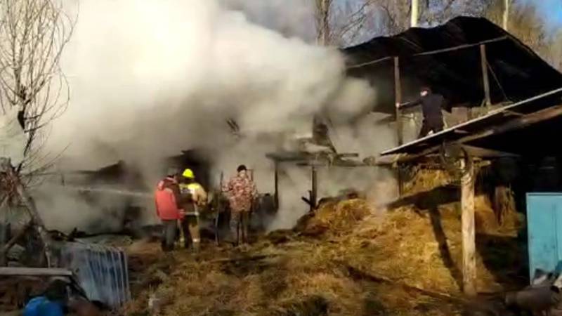 Видео — В селе Талды-Суу сгорел сарай вместе со скотом. Местный житель жалуется на работу пожарной службы
