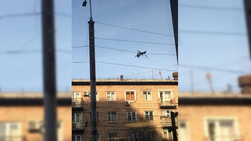 Бишкекчанин просит убрать ветку, висящую на кабеле на Киевской-Уметалиева (фото)