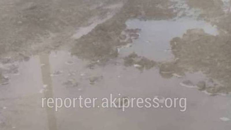На улице Матросова в Беш-Кунгее снова прорвало водопроводную трубу (видео)
