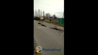 Проезжая часть улицы Орок Ленинского района в навозе, - житель (видео)