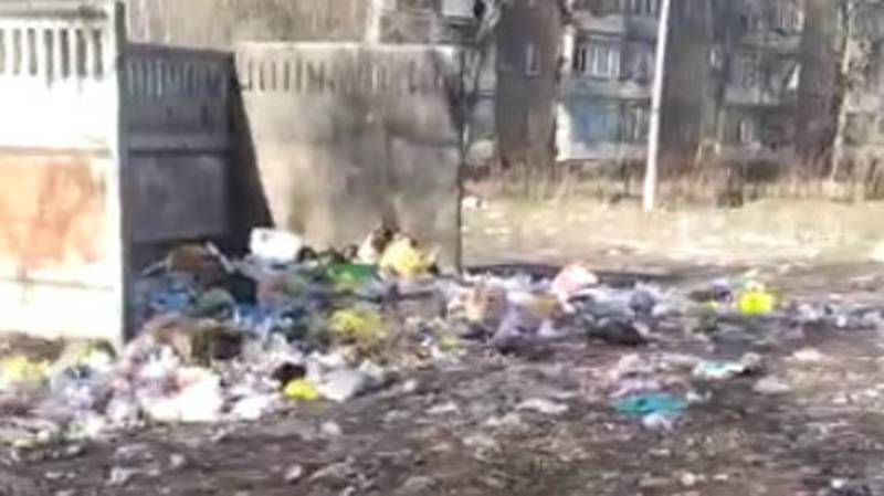 На ул.Добровольского в селе Беловодское нет мусорных баков, жители выбрасывают мусор во двор. Видео