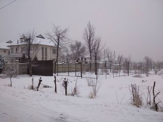 Земельную территорию парка на Алтымышева-Асаналиева арендовали до 2021 года, - мэрия Бишкека