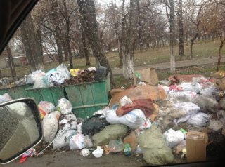 МП «Тазалык» не убирают мусор на ул. Чапаева в течение недели <b>(фото)</b>
