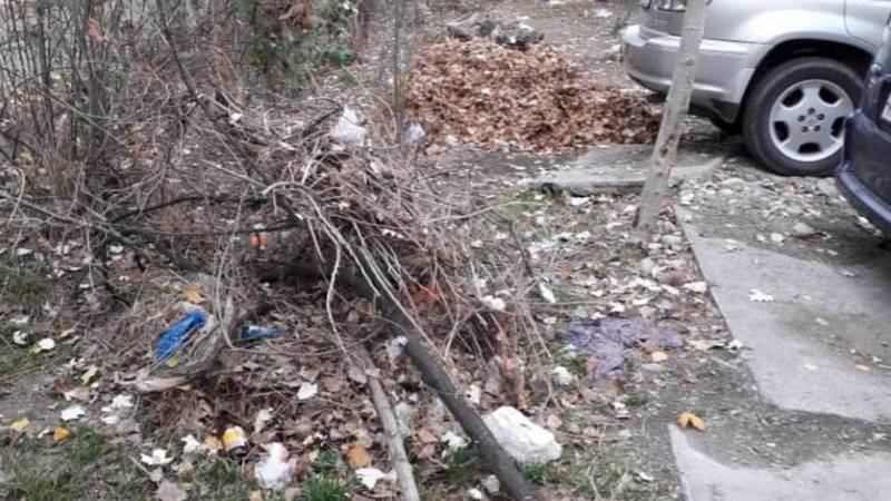 Житель 4 мкр жалуется на мусор. Фото