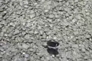 Мэрия Бишкека о качестве асфальта на ул.Московской: Дорожное покрытие сделано по новой технологии
