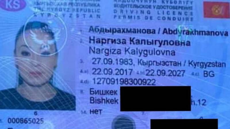 Найдены документы на имя Наргизы Абдырахмановой