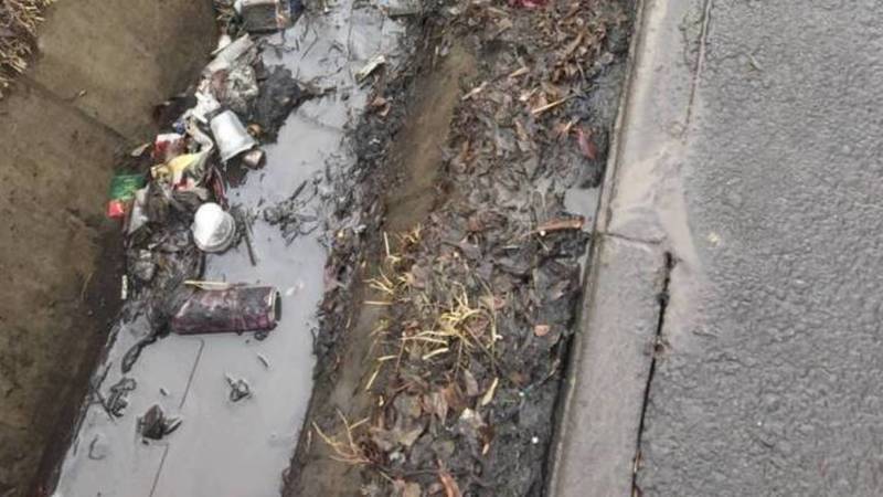 Горожанин жалуется на мусор в арыке на Сыдыгалиева. Фото
