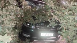 На Боконбаева-Эркиндик на машину упала ветка дерева. Фото