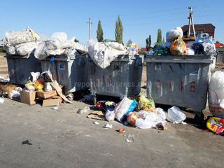 На участке улицы Ахунбаева в Ак-Орго не вывозится мусор (фото)