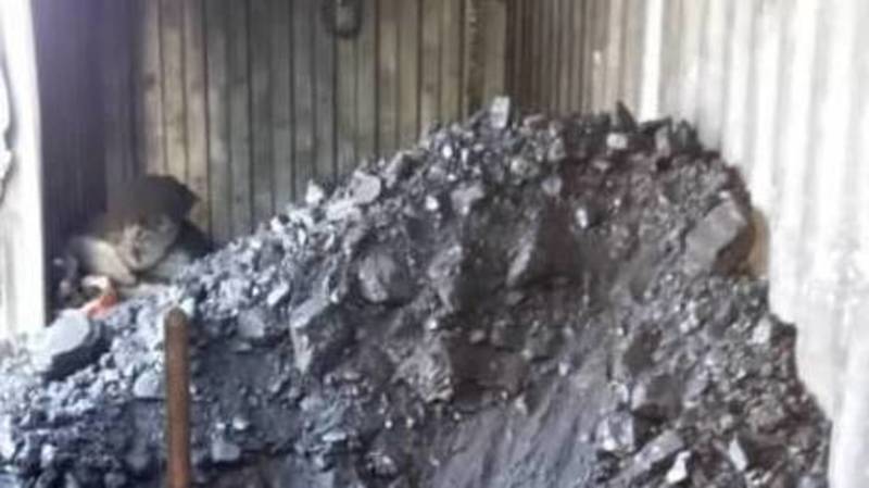 Баня «Датка» в Кок-Жаре отапливается углем. Фото
