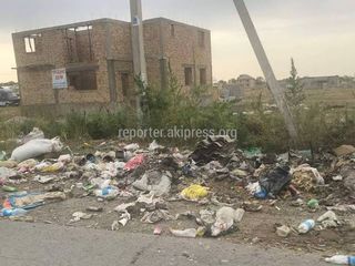 Участок в селе Бир-Булак Аламединского района завален мусором (фото)