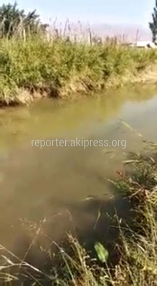 Жители беспокоятся за состояние канала в аймаке Кобогон-Cай Кочкорского района