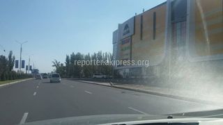 Бишкекчанин просит организовать остановку перед торговым центром на Масалиева-Айтматова