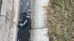 Горожанин жалуется на мусор в арыках на Тыныстанова. Фото