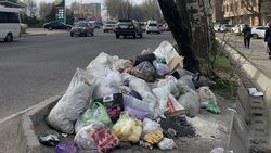 Свалка мусора у дороги по Алматинке. Фото Адилета