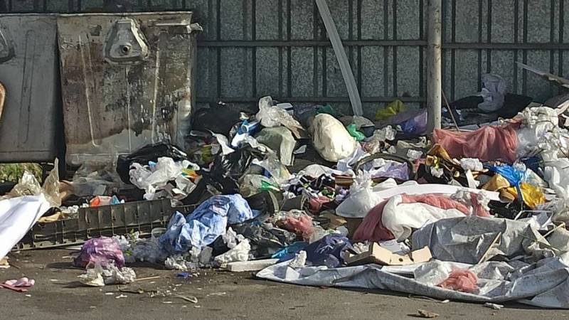 Когда в Кок-Жаре уберут мусор? Фото горожанина