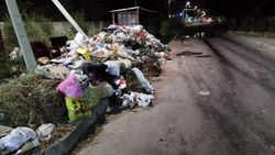 На Троицкой—Кайназаровой не убирают мусор, - бишкекчанин