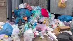 Бишкекчанин жалуется на мусор. Видео