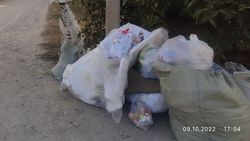 Почему в Кок-Жаре не убирают мусор. Фото