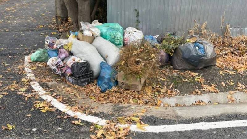 «Спасибо мэру». По улице Бектенова уже неделю мусор не убирают