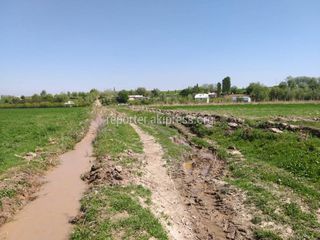 Кара-Суу районундагы Отуз-Адыр айылында талааларды суу каптап жатат