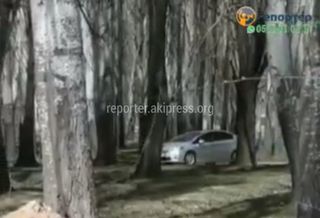 Водители въезжают в Токмок через лес, объезжая блокпост. Видео