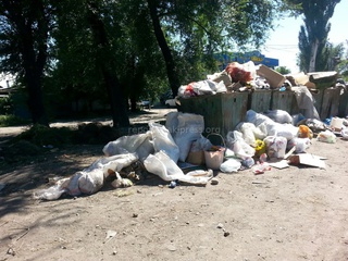 Читатель жалуется, что по улице Дэн Сяопина не убирают мусор <b><i>(фото)</i></b>