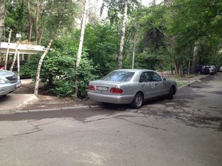 Во дворе дома по ул. Токтоналиева трое жителей организовали для своих авто стоянку, при этом подкопав деревья разрушив ирригационную сеть, - житель <b><i>(фото)</i></b>