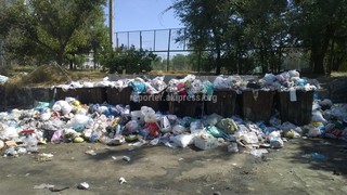 «В 4 микрорайоне не вывозят мусор и все это возле спортивной площадки».