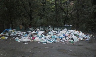 В Газгородке уже неделю не вывозят мусор, в других районах ситуация с мусором также не решается, - читатель <b><i>(фото)</i></b>