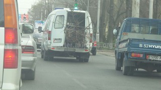 Карета скорой помощи в Бишкеке везла ветки деревьев в салоне <i>(фото)</i>