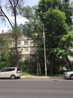 По улице Боконбаева напротив дома №157 дерево не спилено, а обрезана только верхушка (фото)