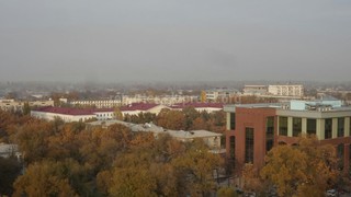 Жители Бишкека и его пригородов, весной и осенью сами себе отравляют воздух, сжигая листья и бытовые отходы, - читатель