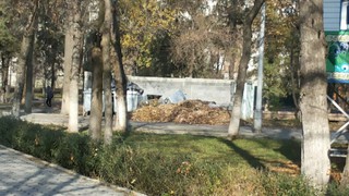 В парке им.Панфилова в Бишкеке валяются мусорные баки вместе с мусором (фото)