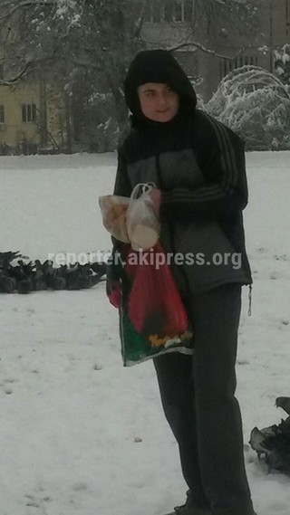 В Бишкеке женщина каждый день кормит птиц возле школы №56 <i>(фото, видео)</i>