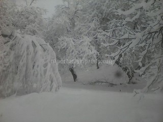 В селе Кара-Март Сузакского района выпало 40 см снега <i>(фото)</i>