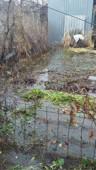 Грунтовые воды в Кара-Балте поднялись из-за засорения дренажной сети, которая сейчас очищается, - МЧС