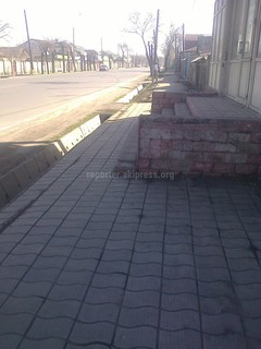 На улице Гагарина в Бишкеке хозяин дома на тротуаре установил лестницу, - читатель (фото)