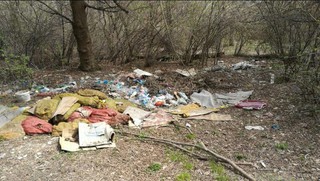 Читатель жалуется на мусор в Карагачевой роще (фото)