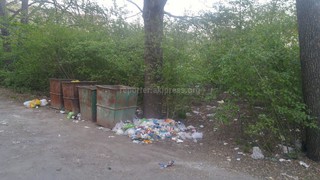 В парке Ататюрка города Бишкек не убирают мусор, - читатель (фото)